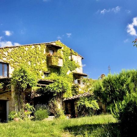 Podere Patrignone Guest House Castellina in Chianti Eksteriør bilde