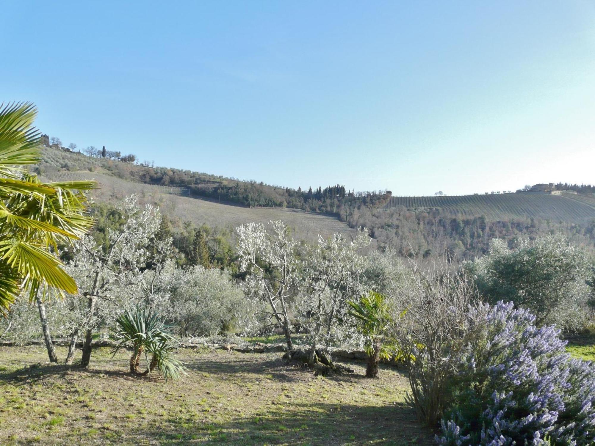 Podere Patrignone Guest House Castellina in Chianti Rom bilde