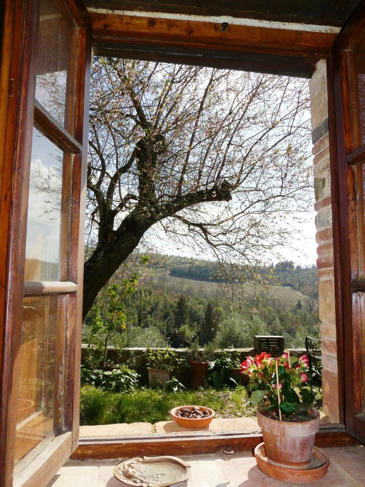 Podere Patrignone Guest House Castellina in Chianti Rom bilde