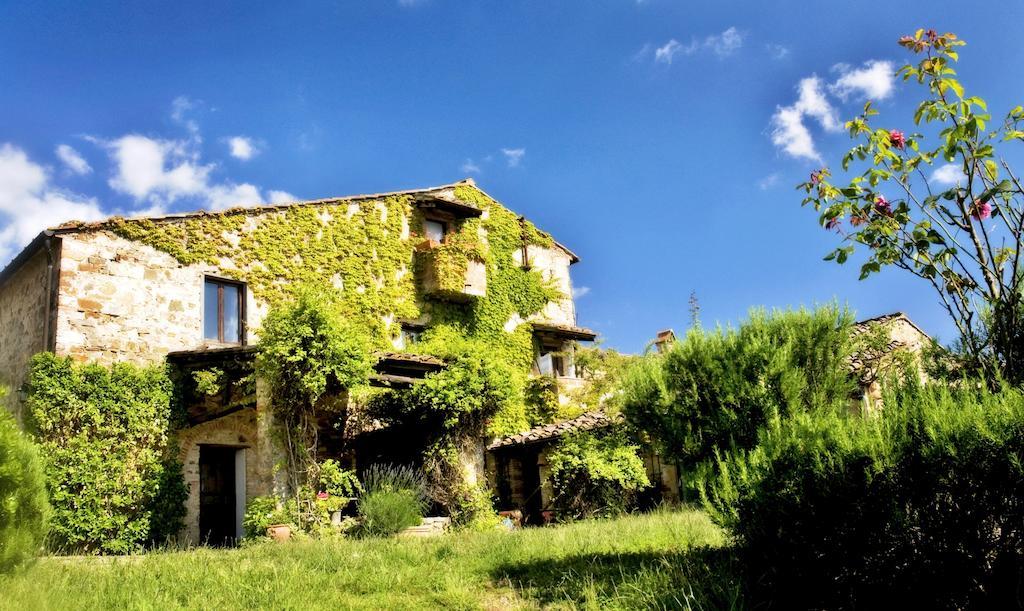 Podere Patrignone Guest House Castellina in Chianti Eksteriør bilde